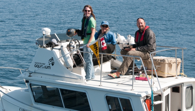The research team: Dr. Holly Fearnback; Dr. Lance Barrett-Leonard; and Dr. John Durban. Photo: Hildering. 