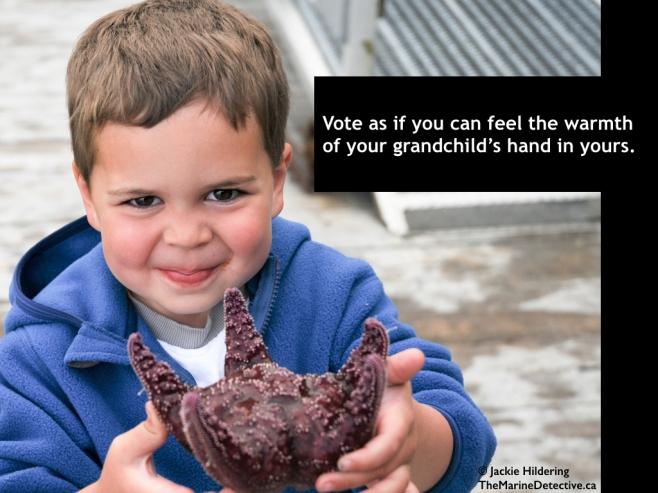Vote as if you can feel the warmth of your grandchild's hand in yours. Spencer Wilson meets an Ochre Star. As so many here are aware, it is a critical time of decision-making. In this #OceanVoice album, I will share memes directed at increasing hope; awareness of our connection to the environment; and positive action for the sake of greater health and happiness. ©2015 Jackie Hildering; #OceanVoice; www.TheMarineDetective.ca 