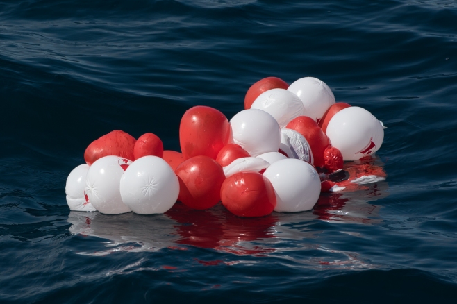 Canada Day balloons drifting in Leatherback habitat on July 21st. Photo: Hildering.